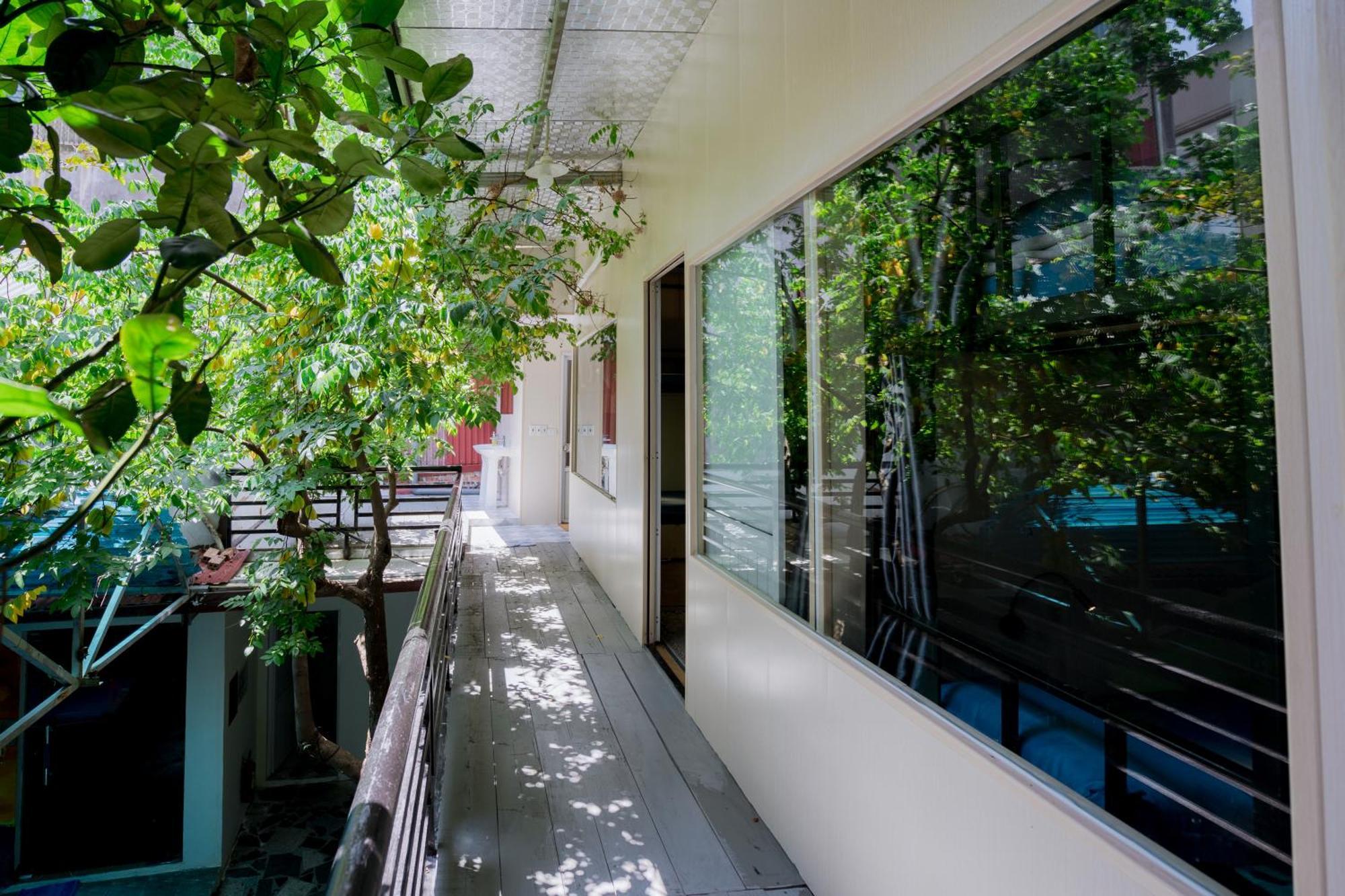 City Garden Hostel 宁平 外观 照片